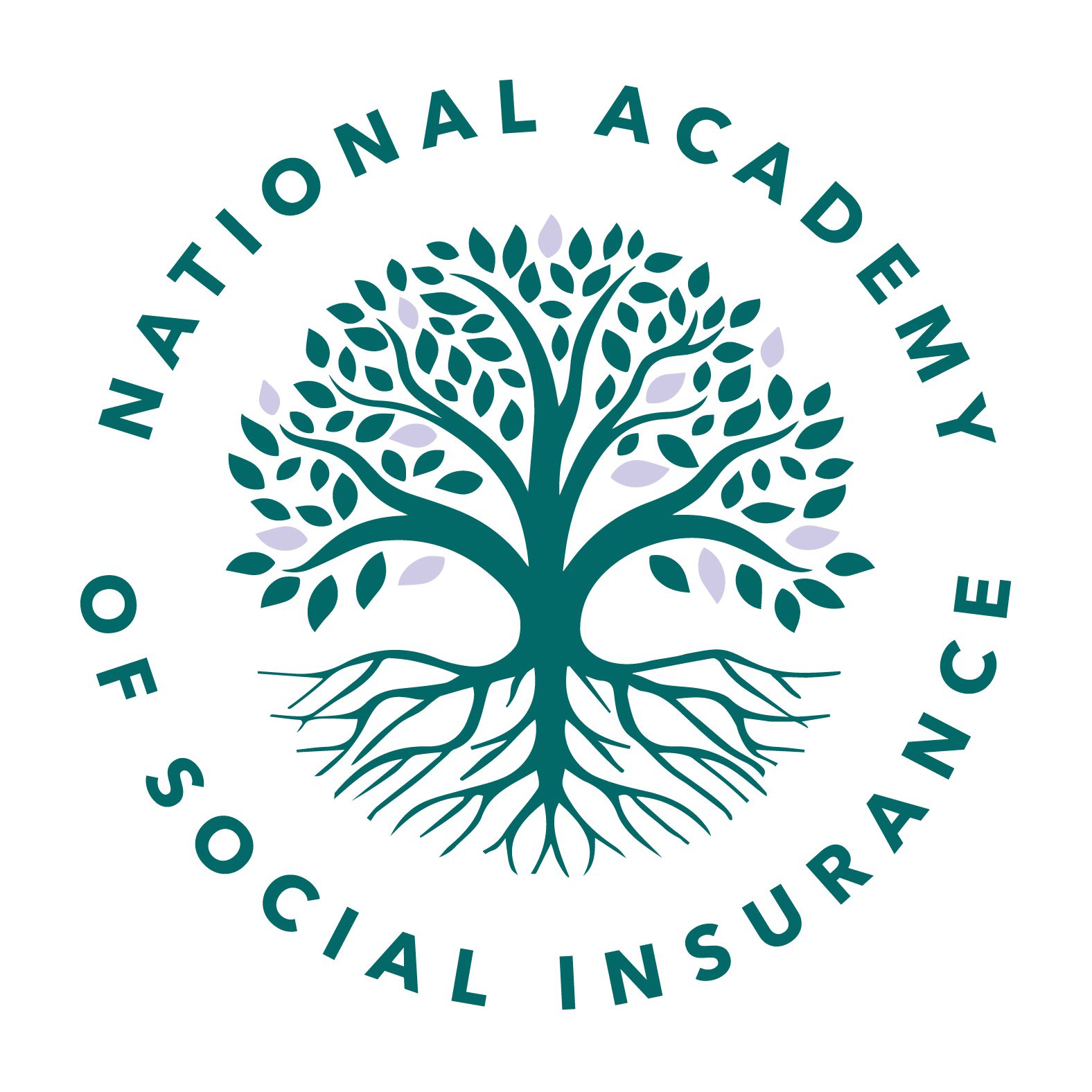 National Academy of Social Insurance logo